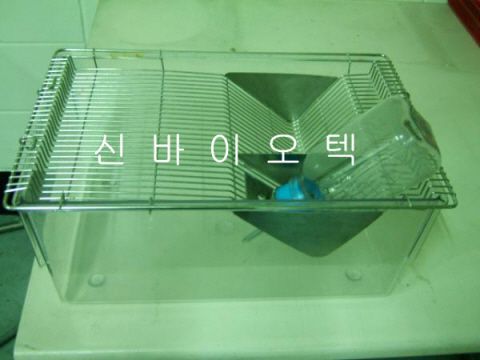 Rat Cage