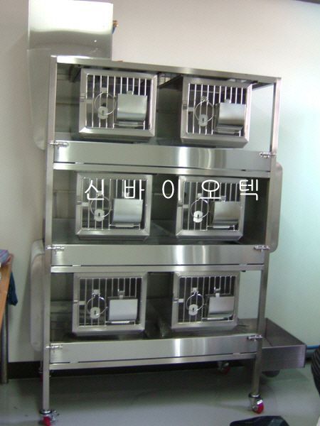 Rabbit Auto Watering ＆ Washing System